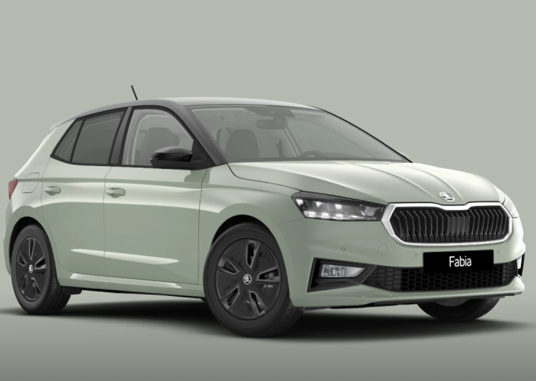 Skoda-Fabia 7/9/2026 12:00:00 AM Benzina in vendita