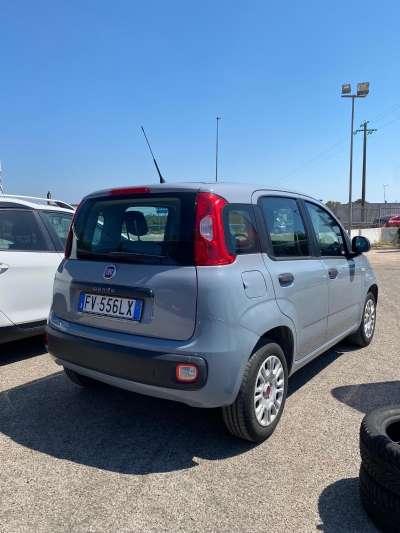 Fiat-500 1/1/2019 12:00:00 AM Benzina in vendita
